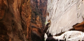Photo of the Day – The Narrows in Zion National Park